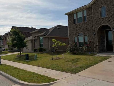 Lawn care service in Princeton, 75407