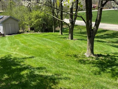 Lawn care service in Lemont, 60439
