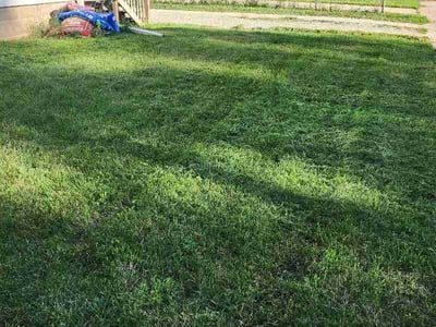 Lawn care service in Rochester, 55904