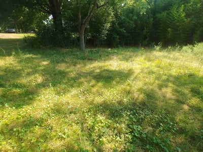 Lawn care service in , 