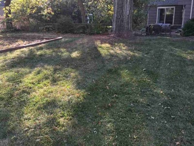 Lawn care service in Prairie Village, 66208