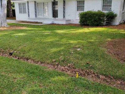 Lawn care service in Charleston, 29407