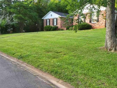 Lawn care service in Columbia, 29212