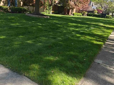 Lawn care service in Columbus, 43220