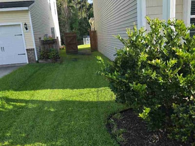 Lawn care service in Charleston, 29414