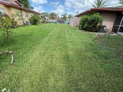 Lawn care service in Royal Palm Beach, 33411
