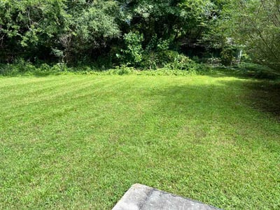 Lawn care service in Portsmouth, 23701