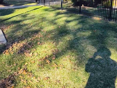 Lawn care service in Kansas City, 64113