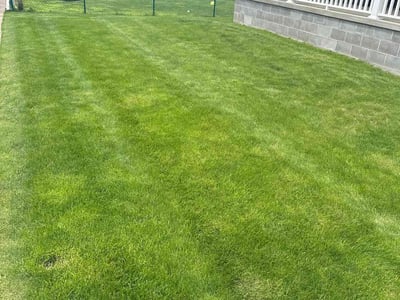 Lawn care service in Erie, 16509