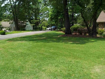 Lawn care service in Vestavia Hills, 35216