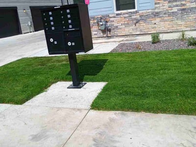 Lawn care service in Lakewood, 80214