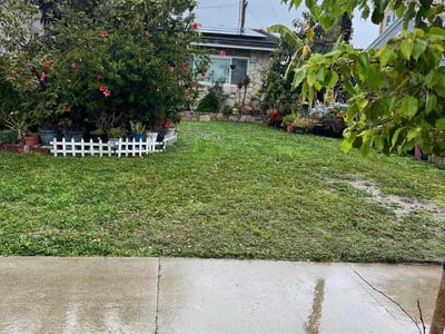 Lawn care service in , 