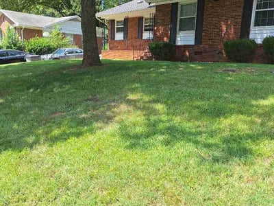 Lawn care service in Charlotte, 28208