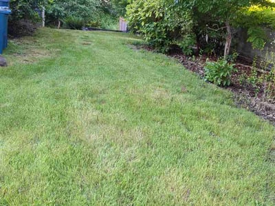 Lawn care service in Edmonds, 98026