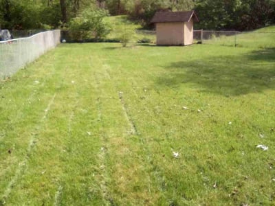 Lawn care service in Cincinnati, 45238