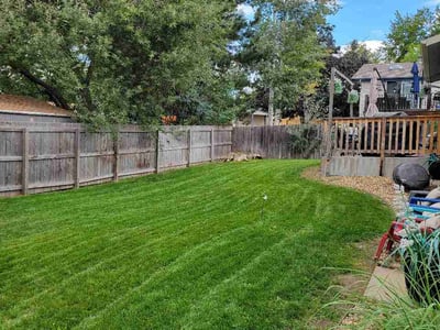 Lawn care service in Longmont, 80503
