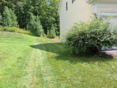 Lawn care service in Woodbridge, 22191
