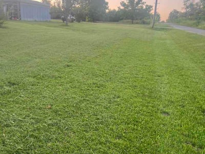 Lawn care service in Sherman, 75092
