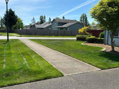 Lawn care service in Puyallup, 98375