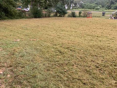 Lawn care service in Piedmont, 29673