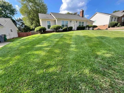 Lawn care service in Matthews, 28105