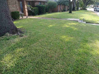 Lawn care service in Carrollton, 75007