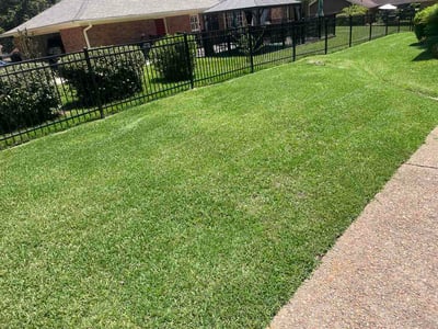 Lawn care service in Jackson, 39212