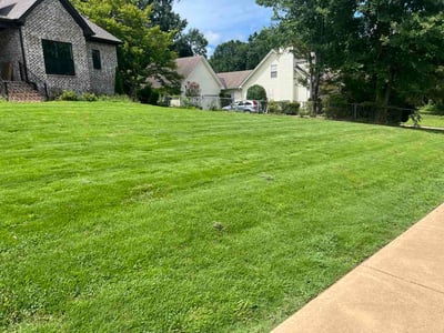 Lawn care service in Vestavia Hills, 35243