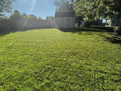 Lawn care service in Omaha, 68164