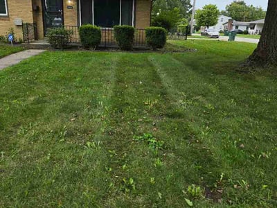 Lawn care service in Indianapolis, 46224