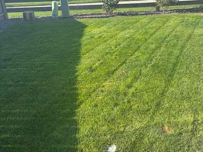 Lawn care service in Thornton, 80602