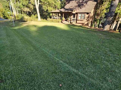 Lawn care service in High Point, 27265
