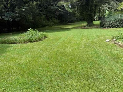Lawn care service in East Point, 30344