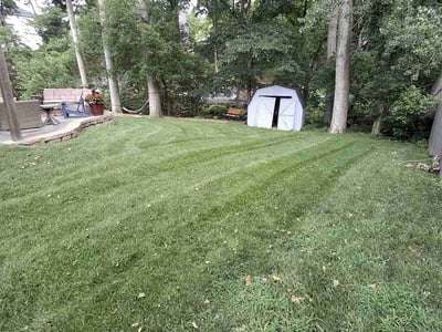 Lawn care service in Bellevue, 68123