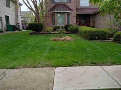 Lawn care service in Lemont, 60439