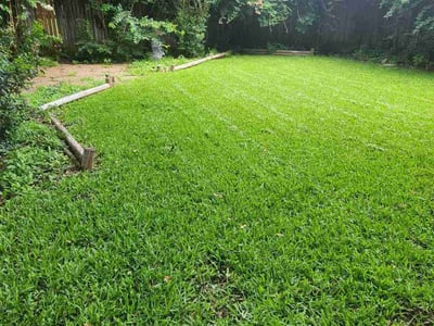 Lawn care service in Fort Worth, 76132