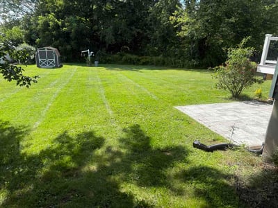 Lawn care service in Middletown, 06457