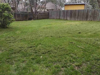 Lawn care service in Austin, 78745