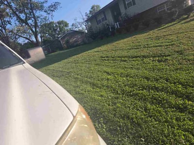 Lawn care service in Knoxville, 37918