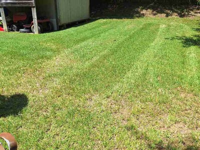 Lawn care service in Charlotte, 28208