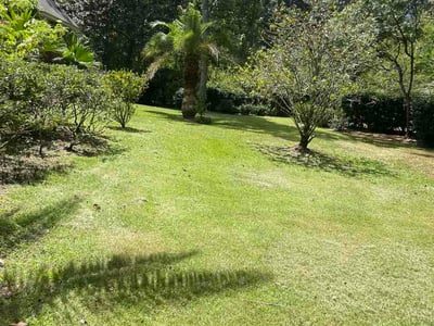 Lawn care service in Mandeville, 70448