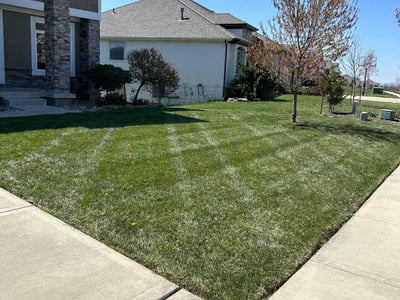 Lawn care service in Kansas City, 64153