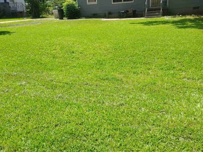 Lawn care service in Jackson, 39206