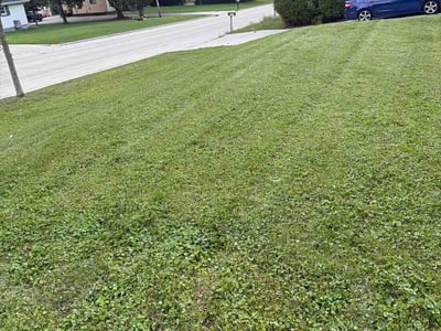Lawn care service in Waukesha, 53188