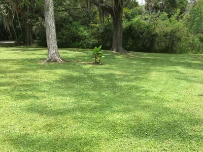 Lawn care service in St. Augustine, 32084