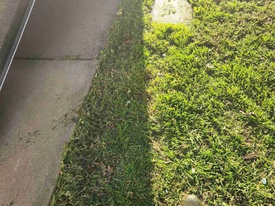Lawn care service in Sacramento, 95823