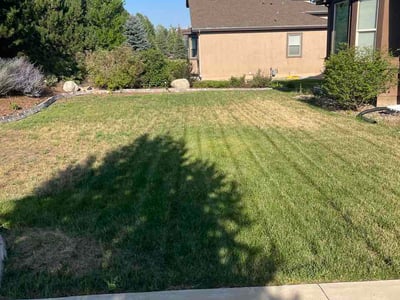 Lawn care service in Colorado Springs, 80921