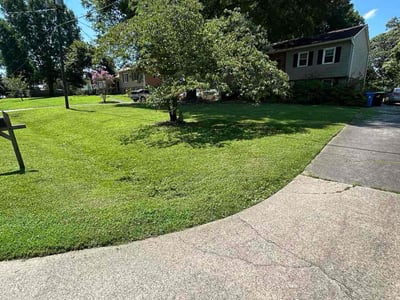Lawn care service in Winston-Salem, 27107
