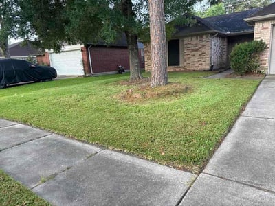 Lawn care service in Friendswood, 77546