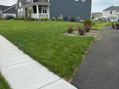 Lawn care service in Elgin, 60124